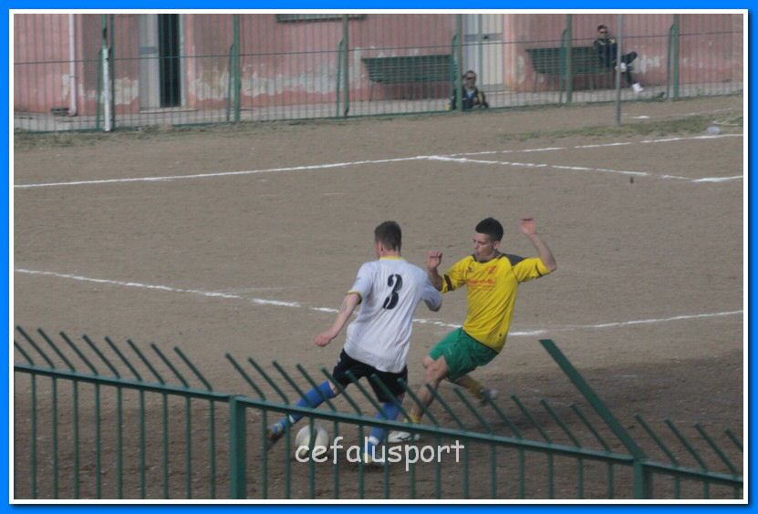 130406 delfini 138_tn.jpg